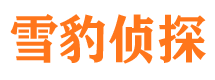 回民市婚姻出轨调查